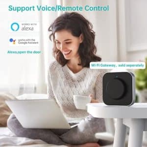 Smart Lock Keyless Rent-to-rent with Alexa